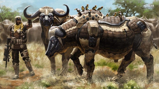 为什么会有人喜欢养乌龟当宠物？